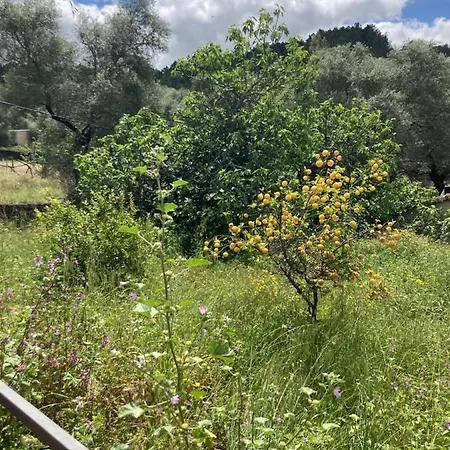 Willa La Casita Fuente del Oro Zewnętrze zdjęcie